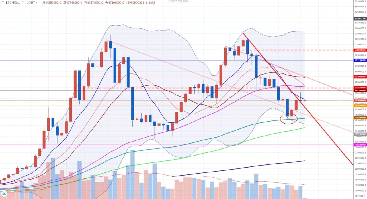 2월 셋째 주 암호화폐 주간시황 보도자료 < 뉴스/보도자료 < 프레스릴리즈 < 기사본문 - 제보왕 02-701-0584